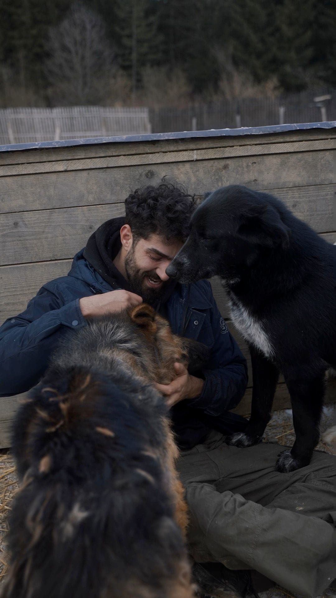 Dog