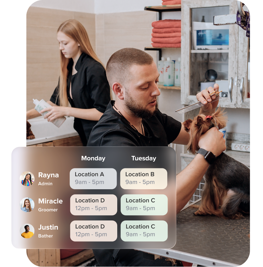 MoeGo makes scaling seamless background