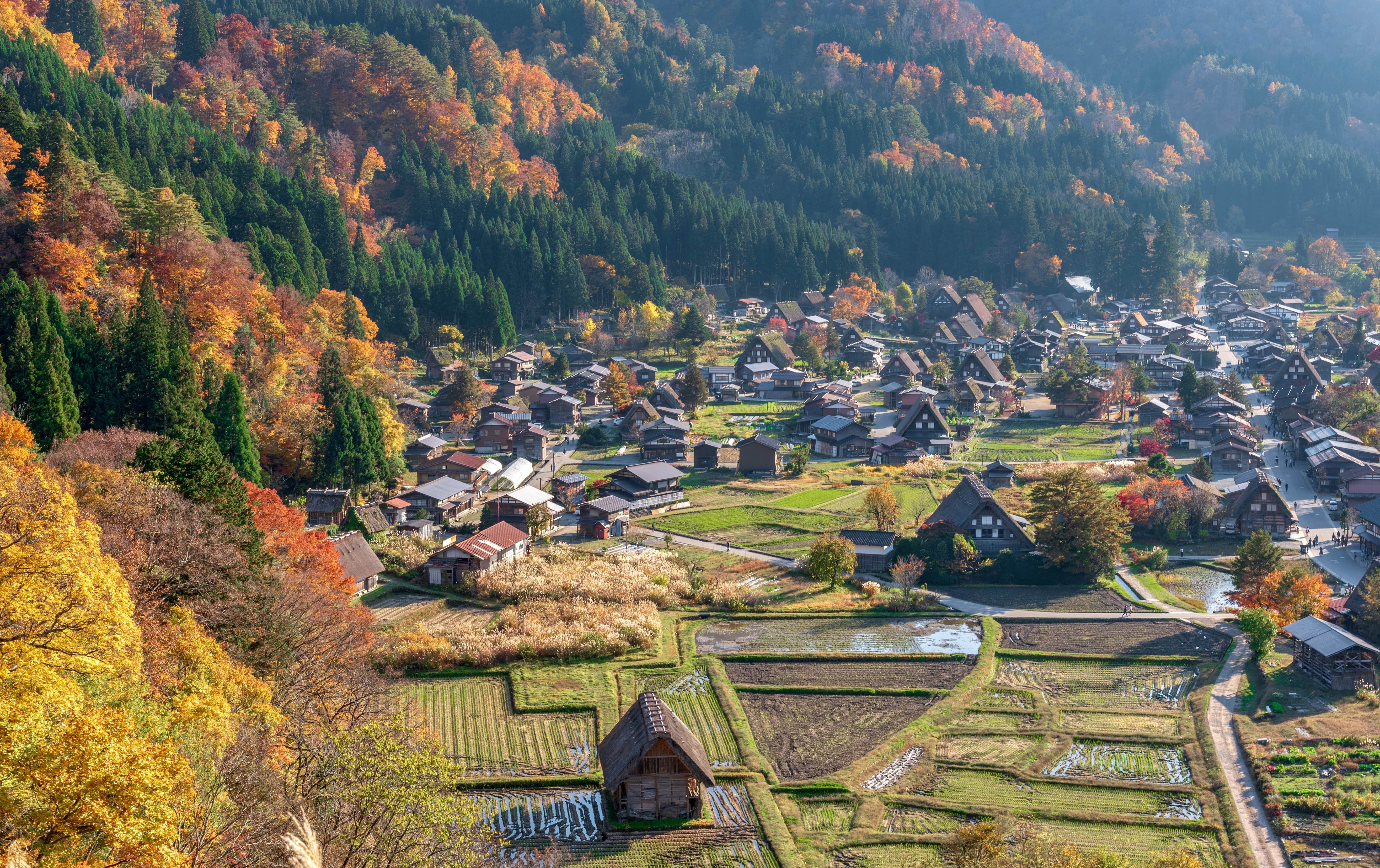 10 Authentic Hidden Gems of Japan and Korea Revealed
