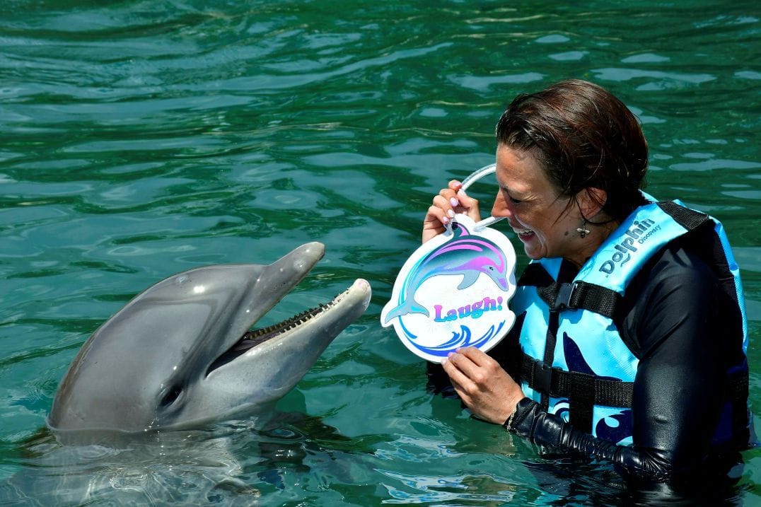 Dolphin Assisted Therapy, in Riviera Maya Mexico
