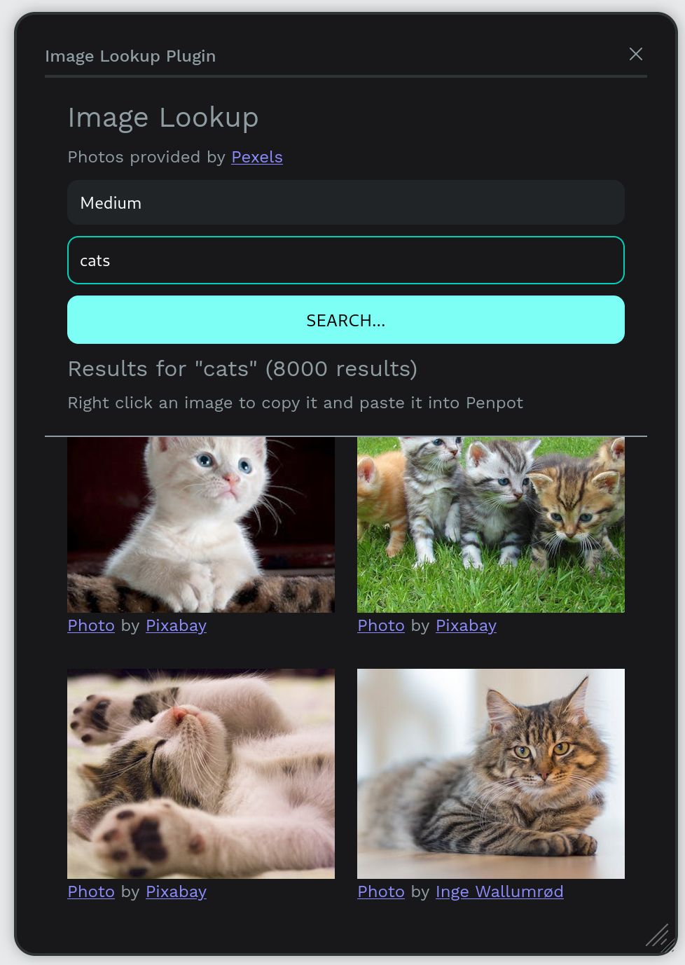 Image Lookup screenshot 1