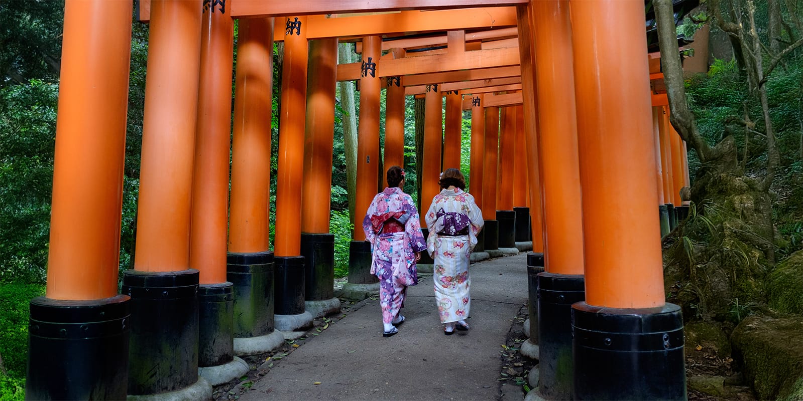 Your Ultimate Guide to Fun Events Worldwide This November