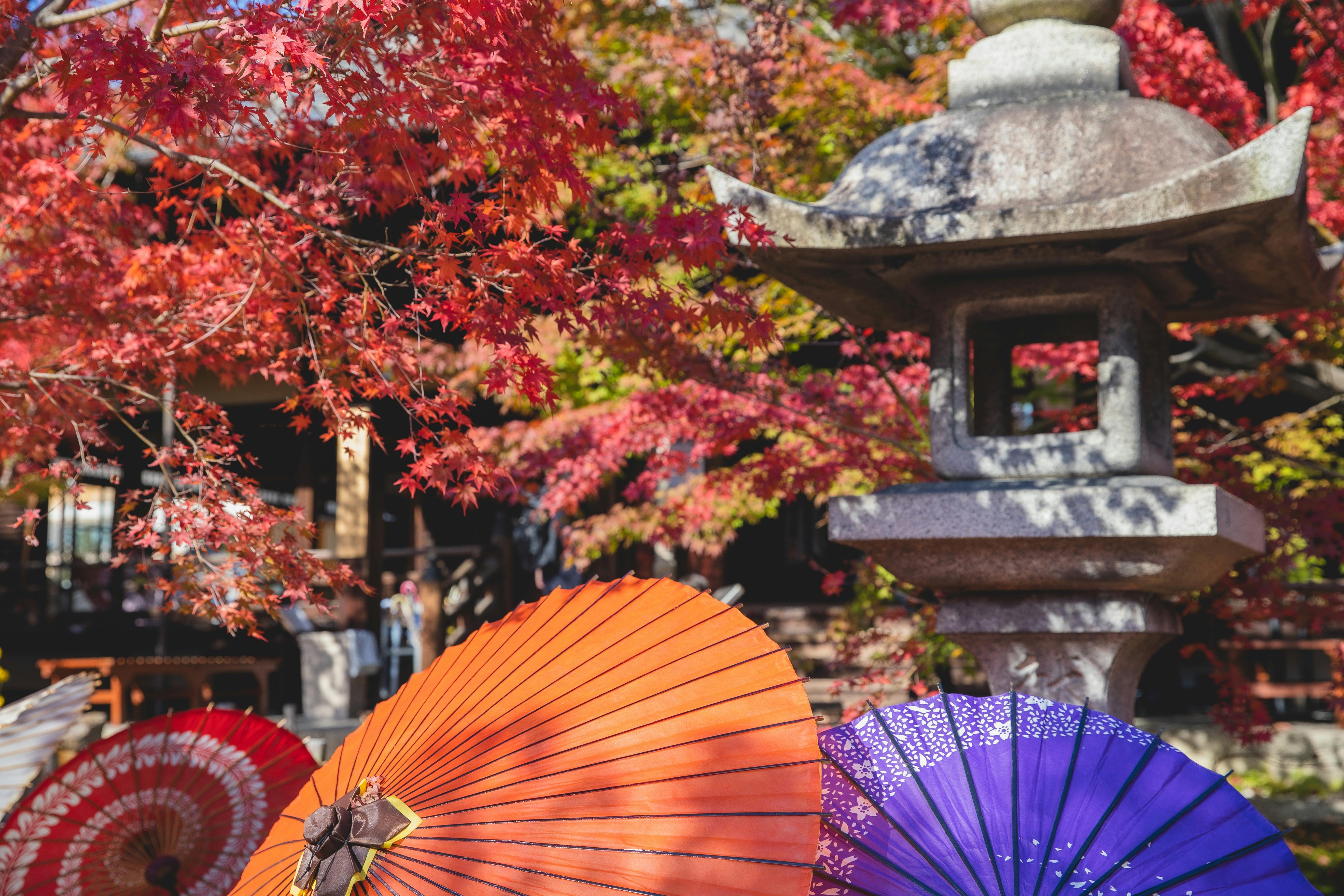 Explore Japan's Autumn Charm: Top Spots in October &amp; November!