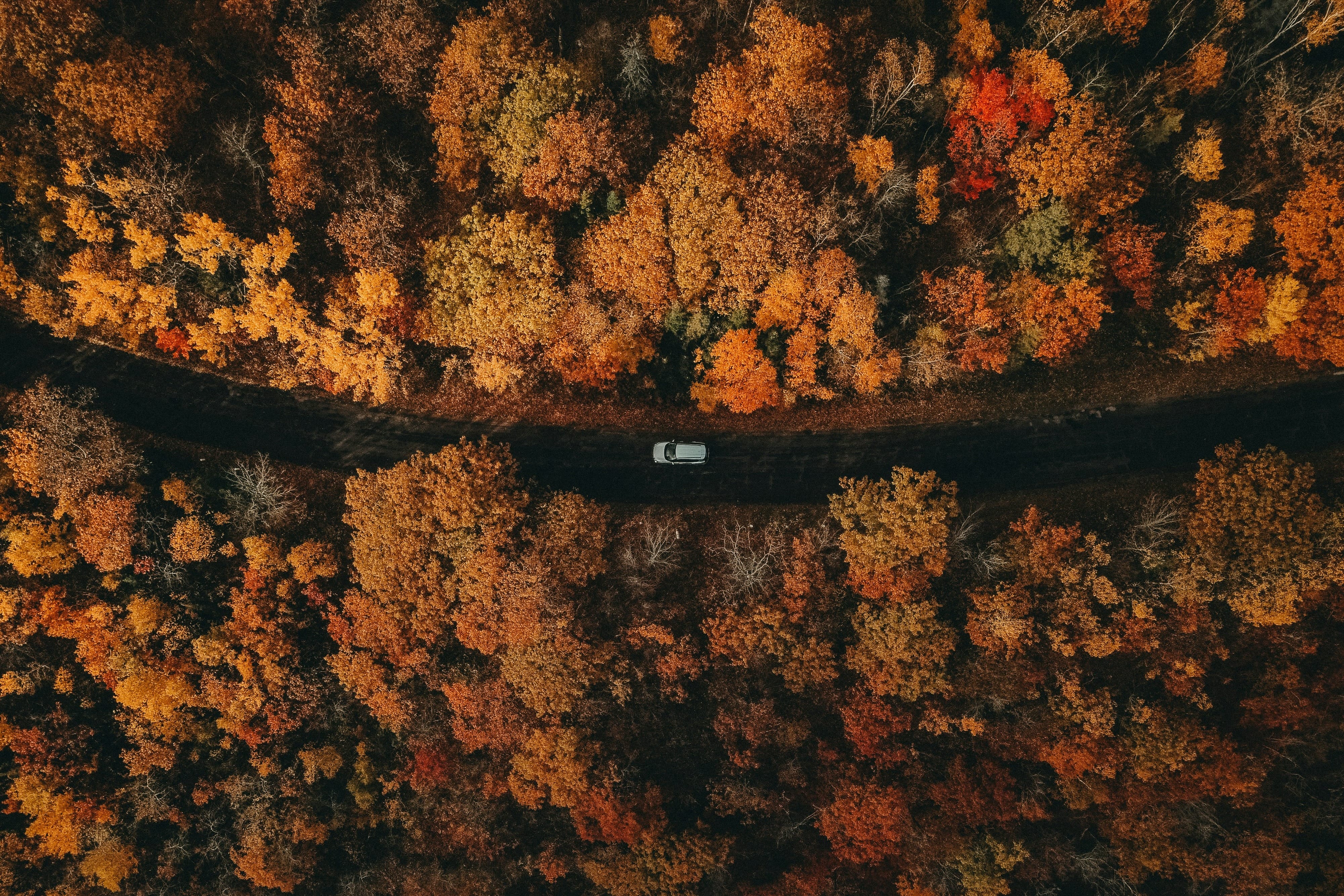 Where to Find the Best Colourful Escapes this Fall