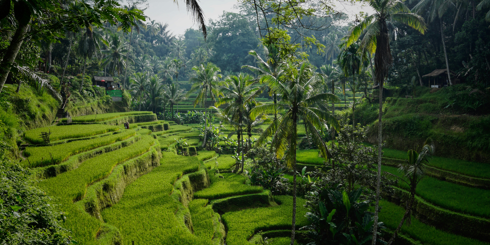 Ultimate Bali Travel Guide for Every Type of Traveler