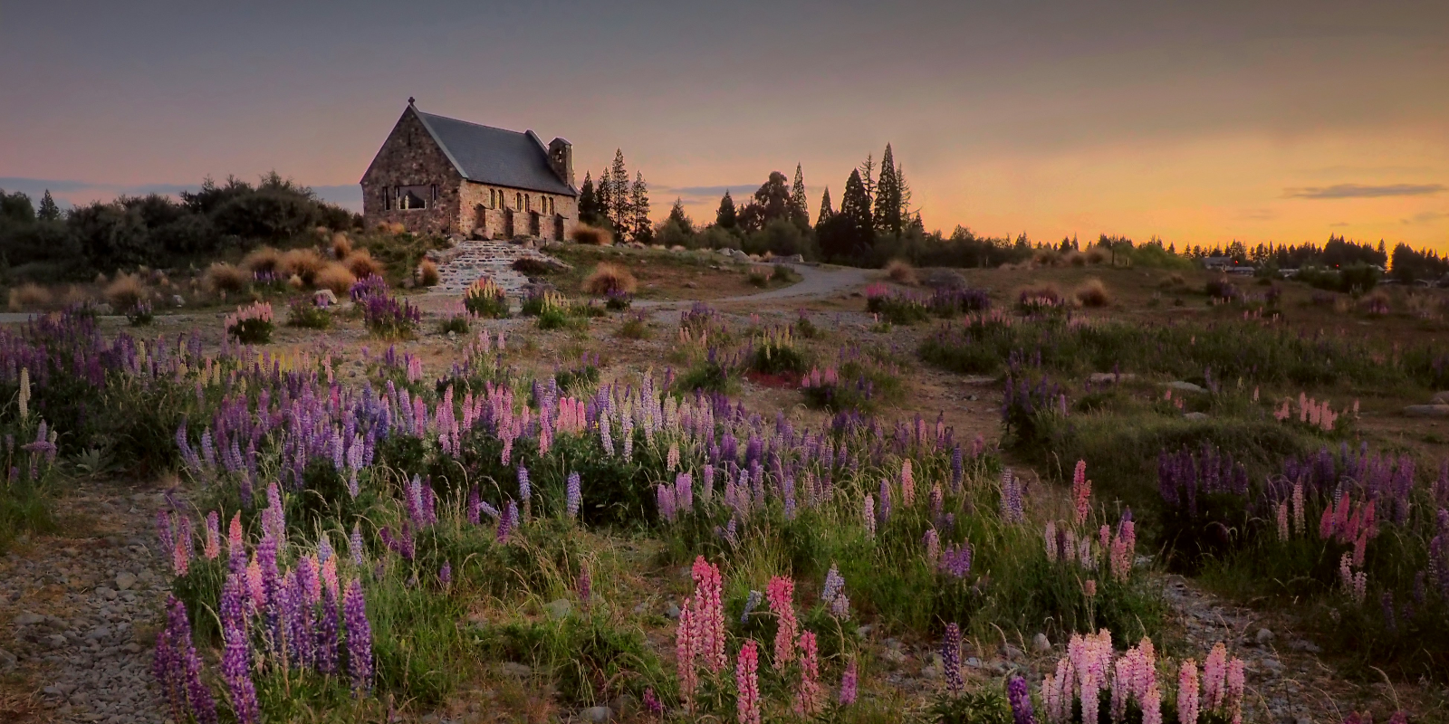 New Zealand Travel Guide: Top Spots, Best Timings Travel Tips