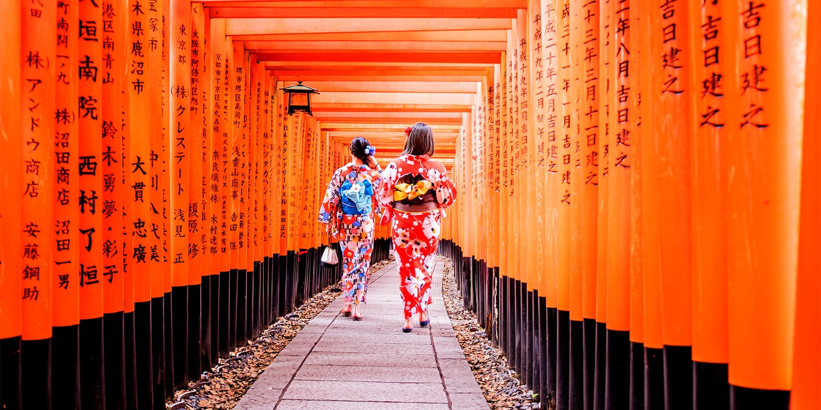 5 Reasons to Visit Japan in 2025