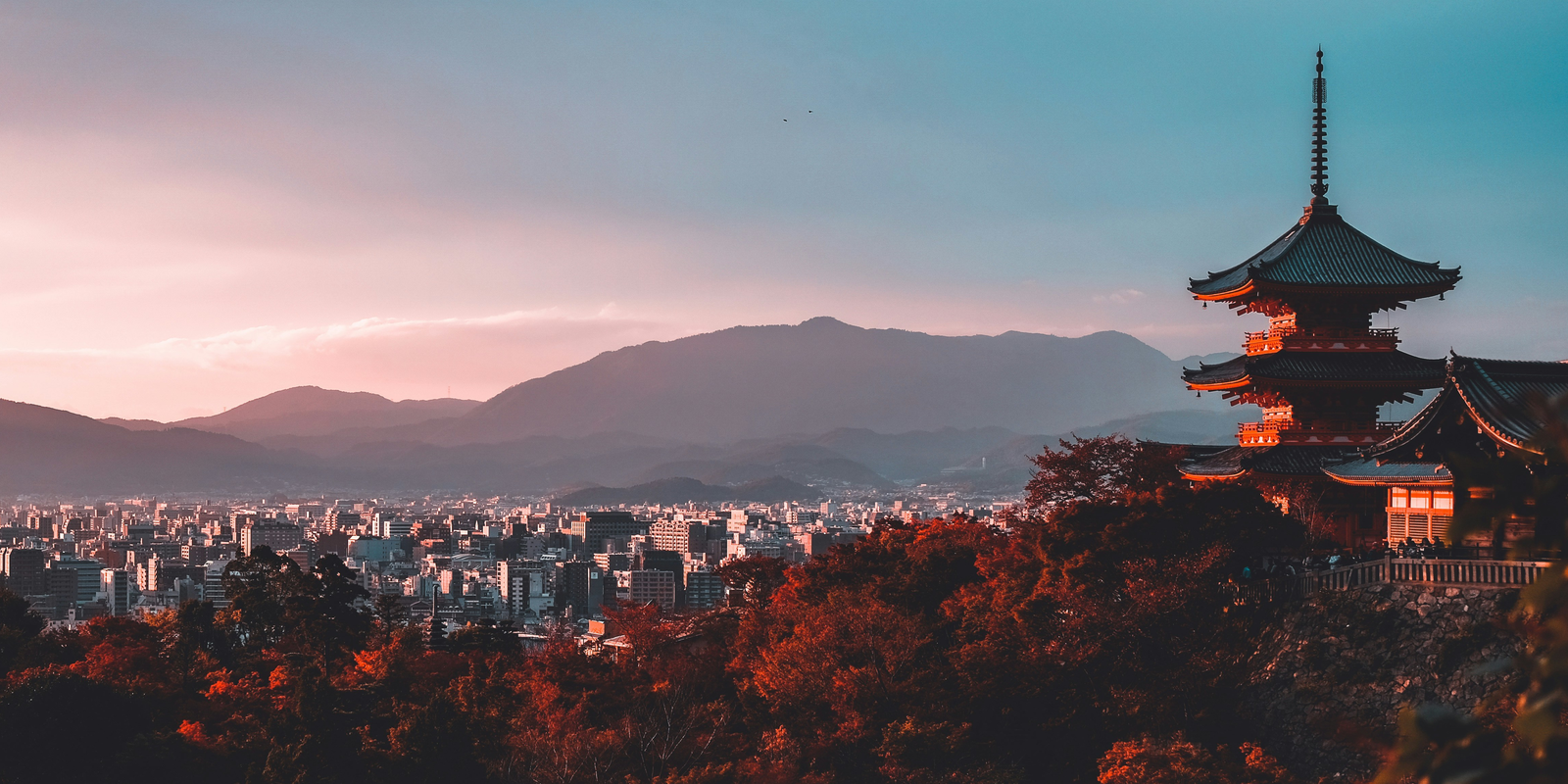 Will My Phone Work in Japan? What You Must Know Before Travel