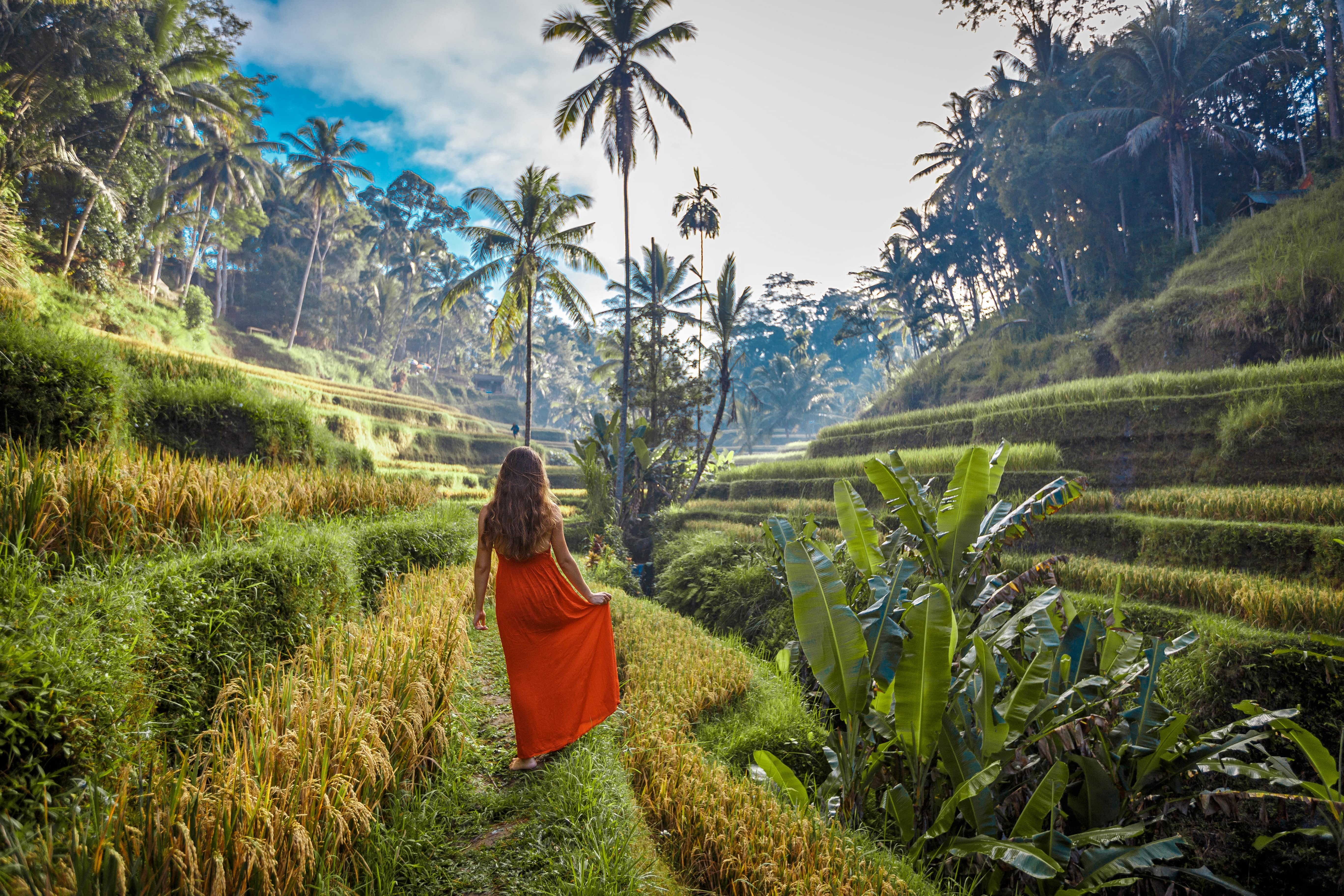 Ultimate guide to Bali, Bintan &amp; Batam For The Best Vibes