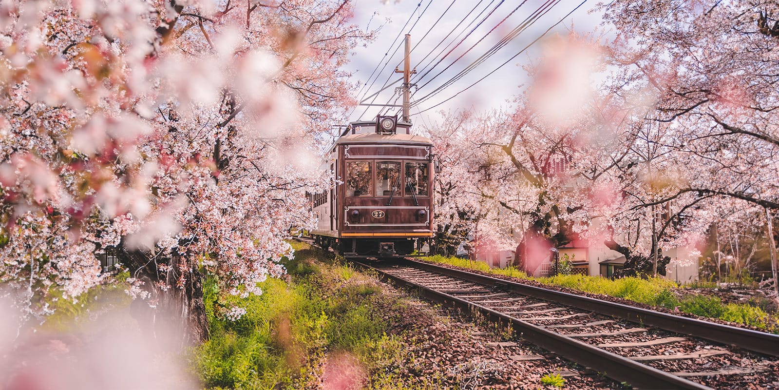 4 Amazing Day Trips from Tokyo to See More of Japan