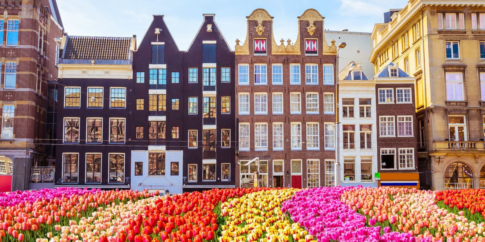 Best Time to Visit Netherlands: Season-by-Season Guide