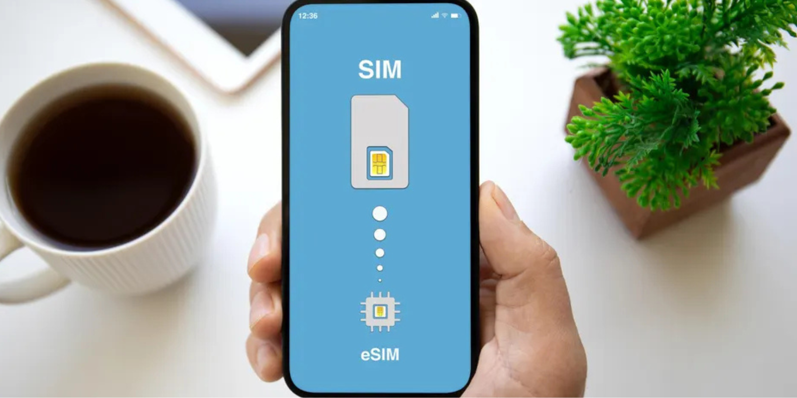 Convert Physical SIM to eSIM: Easy Step-by-Step Guide
